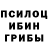 Псилоцибиновые грибы MAGIC MUSHROOMS Dunkelheit scs