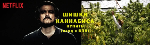 бошки Балахна