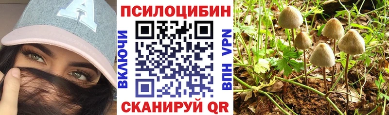 Галлюциногенные грибы Psilocybine cubensis OMG ONION Оленегорск